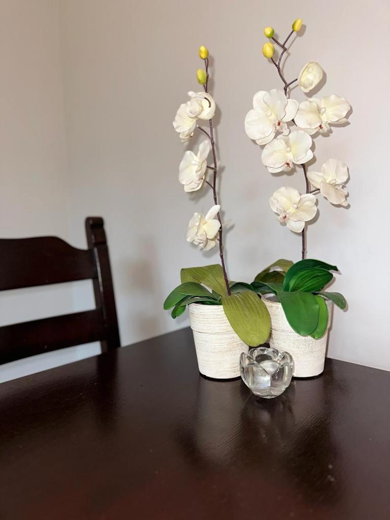 Apartament Przy Rynku พอซนาน ภายนอก รูปภาพ